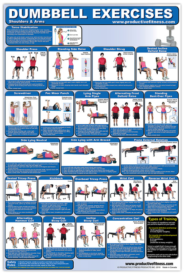 Dumbbell Exercises Shoulder/Arms Poster
